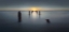 Picture of LAST LIGHT