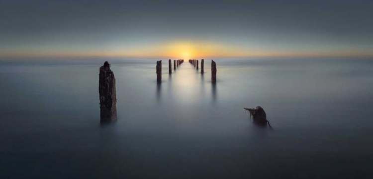 Picture of LAST LIGHT
