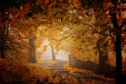 Picture of TURN TO FALL