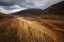 Picture of AUTUMNAL
