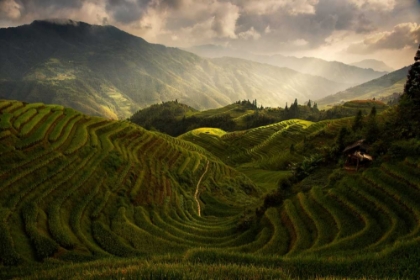 Picture of A TUSCAN FEEL IN CHINA