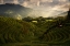 Picture of A TUSCAN FEEL IN CHINA