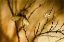 Picture of UN ALTRA STORIA