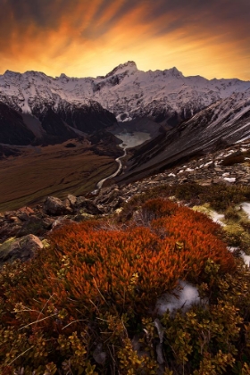 Picture of MOUNT SEFTON