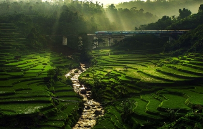 Picture of CROSSING THE BEAUTIFUL BRIDGE