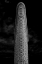 Picture of FLATIRON
