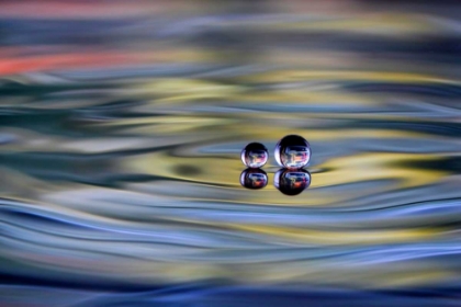 Picture of OO