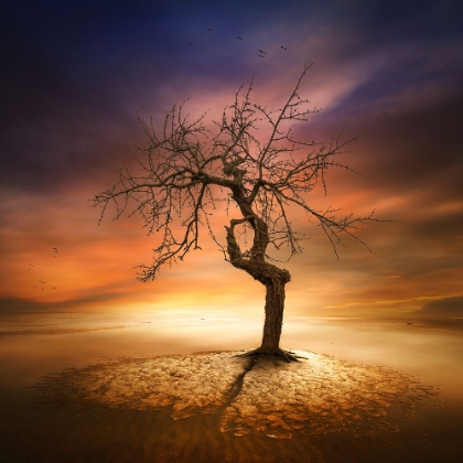 Picture of LONELY