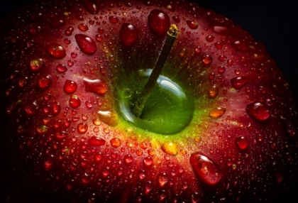 Picture of RED APPLE