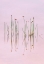 Picture of REFLECTION OF SERENITY