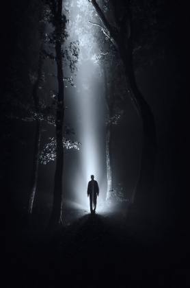 Picture of SURREAL FOREST AT NIGHT