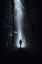 Picture of SURREAL FOREST AT NIGHT