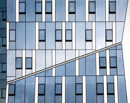 Picture of CROSSING