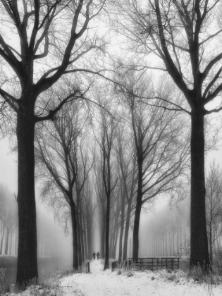 Picture of THEN WINTER COMES