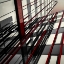 Picture of RED LINES