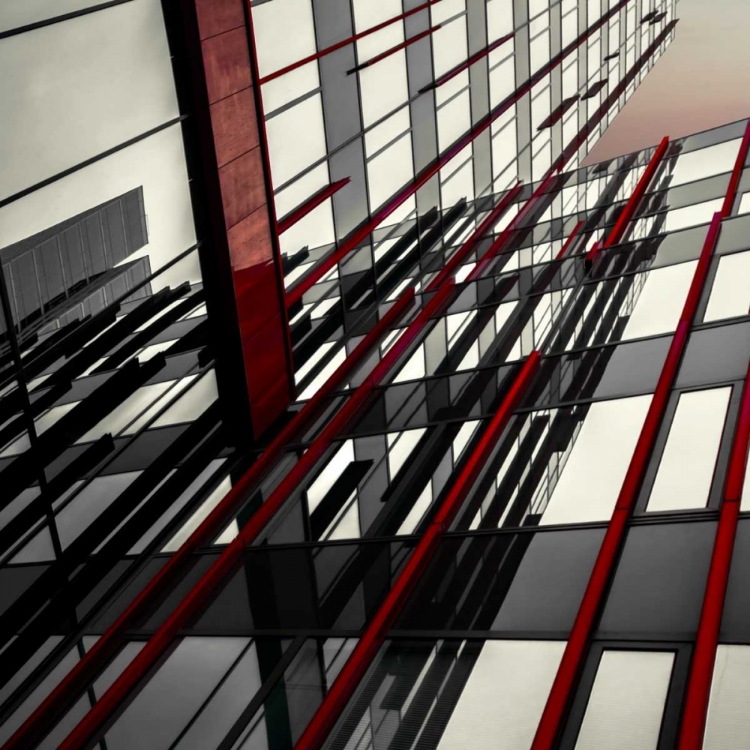 Picture of RED LINES