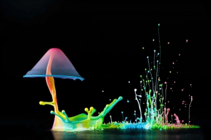 Picture of SYMPHONY OF COLORS