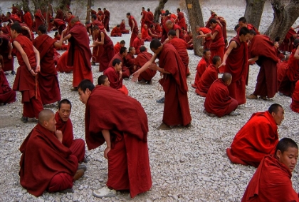 Picture of MONKS DEBATING