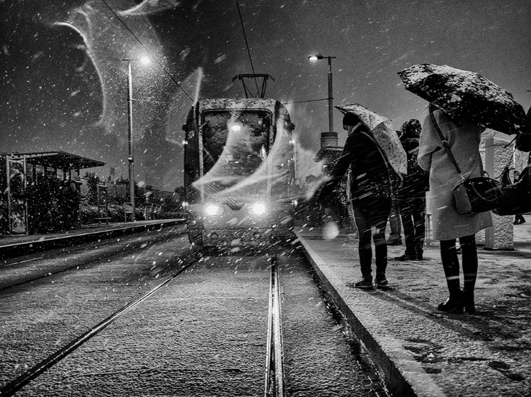 Picture of UNTITLED