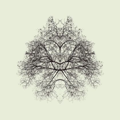 Picture of RORSCHACH TEST