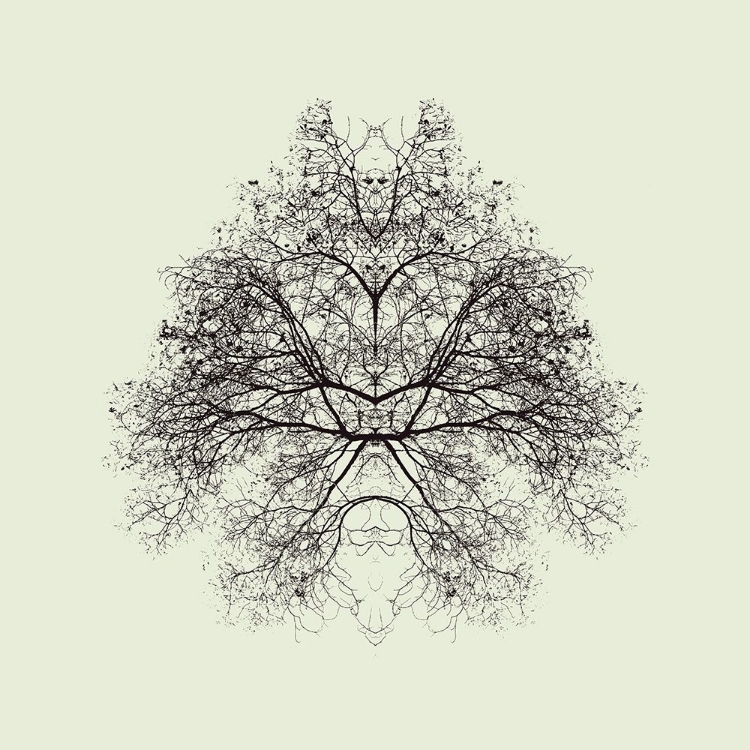 Picture of RORSCHACH TEST