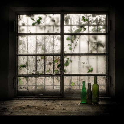 Picture of STILL-LIFE WITH GLASS BOTTLE
