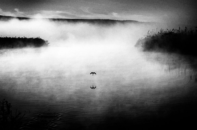 Picture of UNTITLED