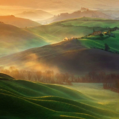 Picture of MORNING DREAMS