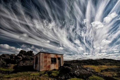 Picture of FLUFFY SKY