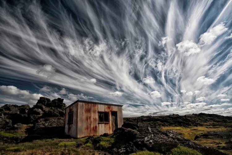 Picture of FLUFFY SKY