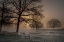 Picture of FOGGY MORNING