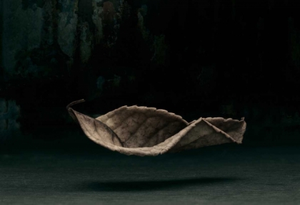 Picture of FALLEN