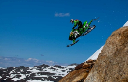 Picture of FREE FALL
