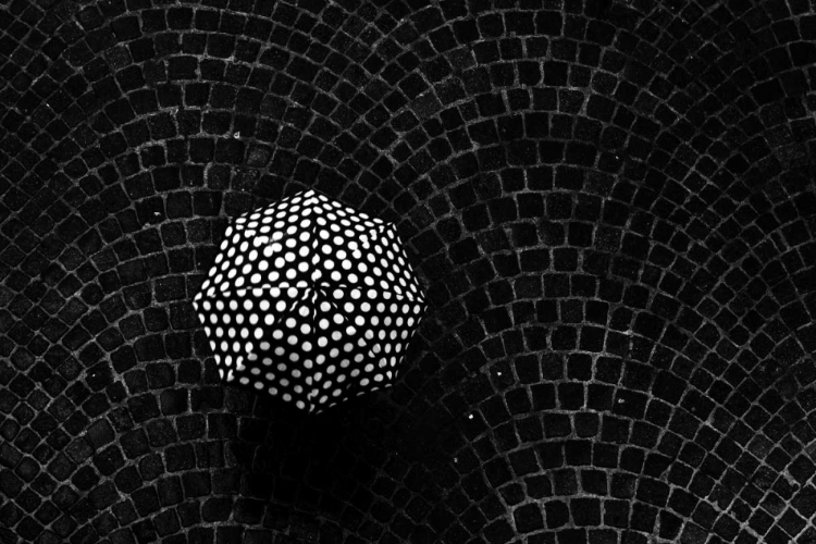 Picture of UNTITLED
