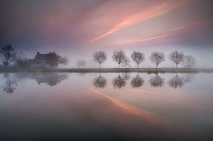 Picture of DREAMLAND