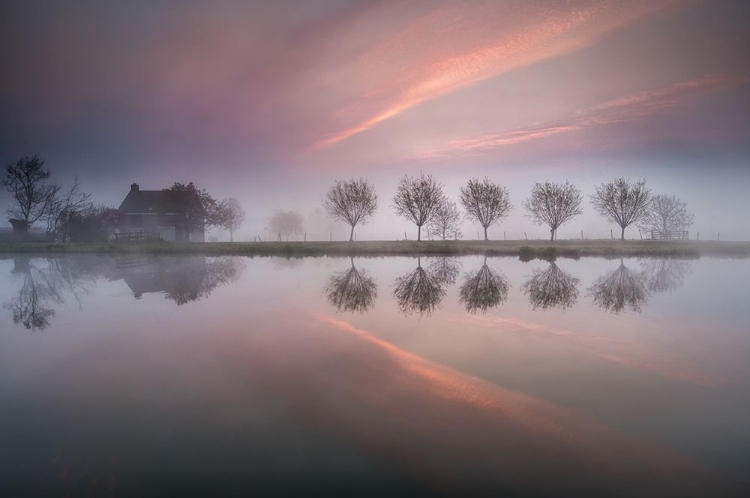 Picture of DREAMLAND