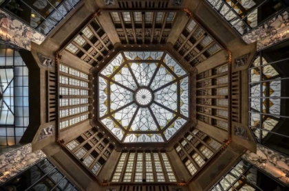Picture of LOOKING UP