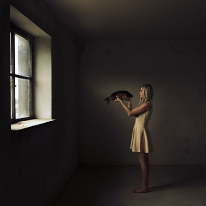 Picture of UNTITLED