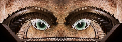 Picture of WATCHING YOU