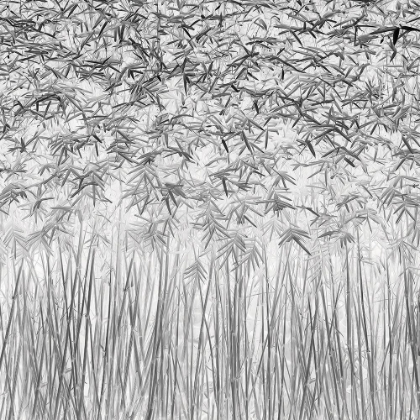 Picture of PARALLELISM