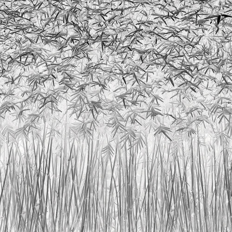 Picture of PARALLELISM