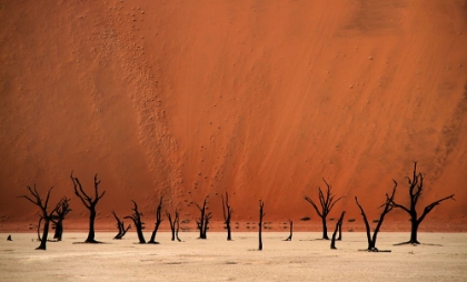 Picture of DEADVLEI