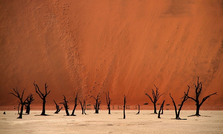 Picture of DEADVLEI