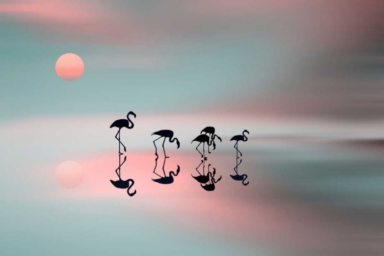 Picture of FAMILY FLAMINGOS