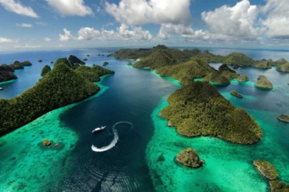 Picture of GREEN PARADISE