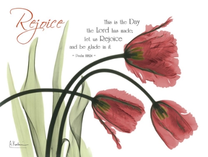 Picture of REJOICING TULIPS