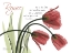 Picture of REJOICING TULIPS