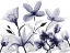 Picture of AUTOMATIC DUSK BLOOM 1
