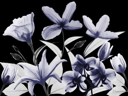 Picture of AUTOMATIC DUSK BLOOM 2