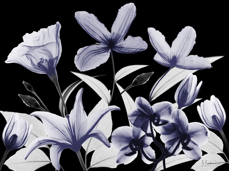 Picture of AUTOMATIC DUSK BLOOM 2